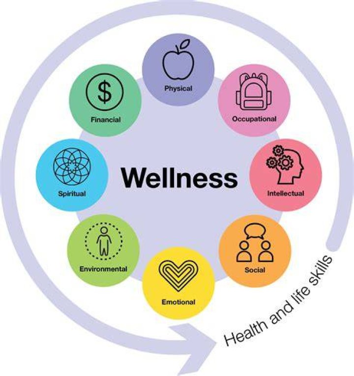 A Guide To Health And Wellness Success
