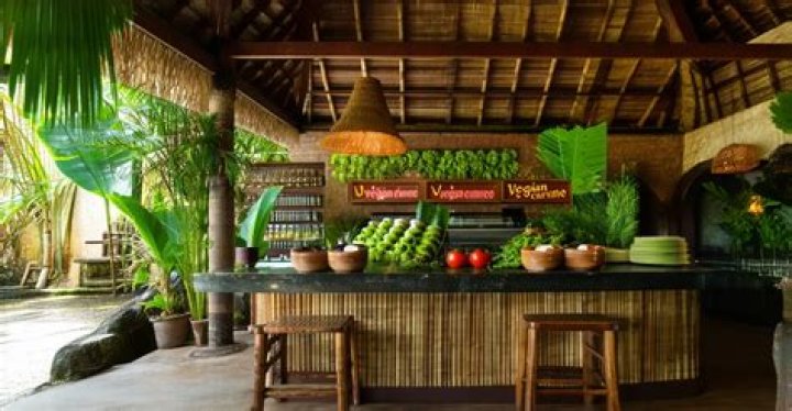 A Guide To Plant-Based Delights