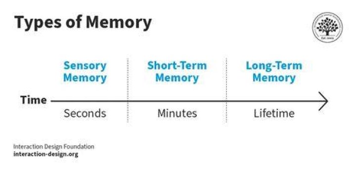 A Journey Into Identity, Memory, And The
