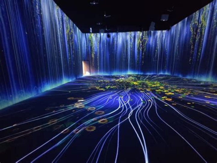 A Journey Into Immersive Digital Art