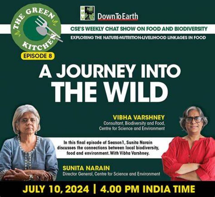 A Journey Into The Wild