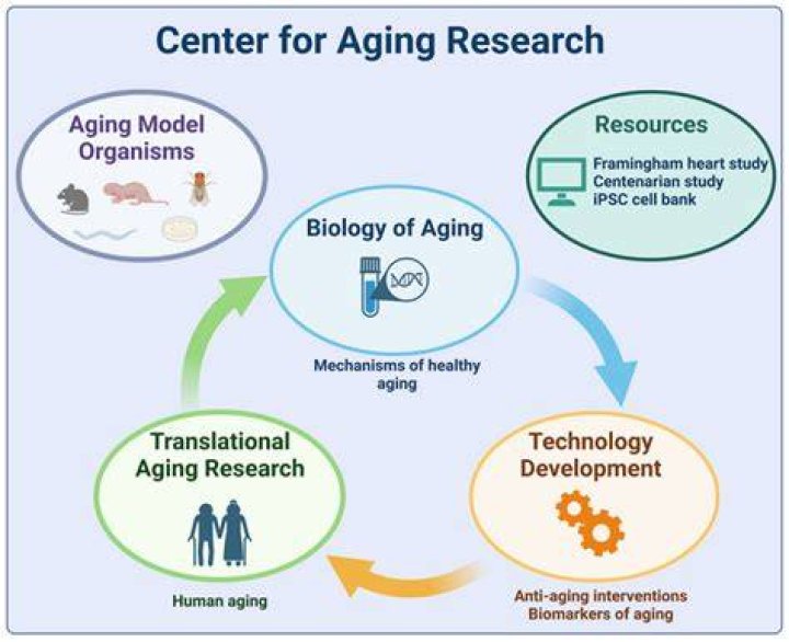 A Scientific Legacy Of Aging Research