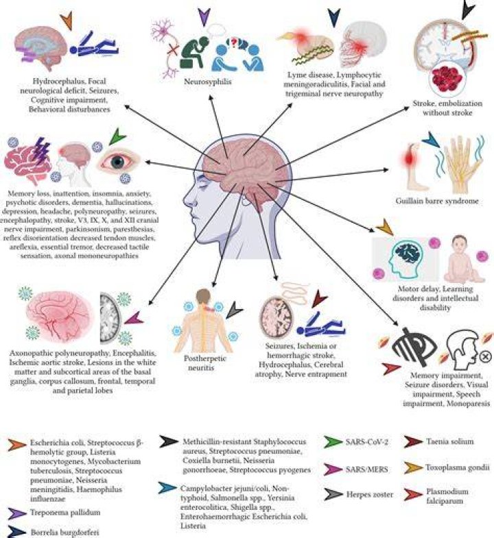 Battling Chronic Pain And Neurological Symptoms