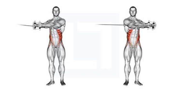 Can Russian Twists Sculpt Your Waist?