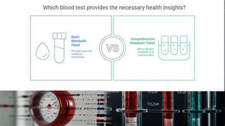 Comprehensive Insights Into 