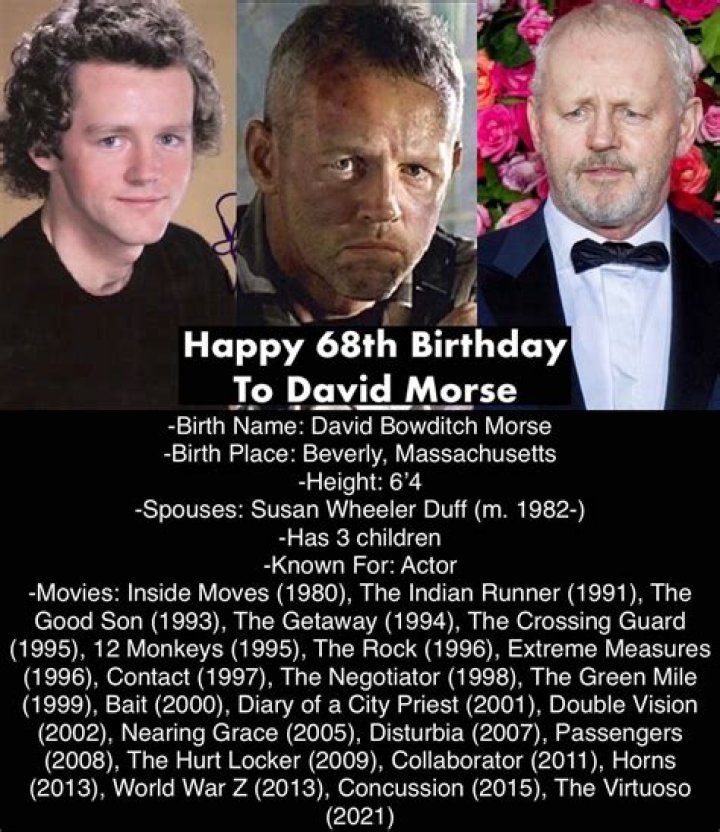 Discover David Morse: Biography, Height, And Wife