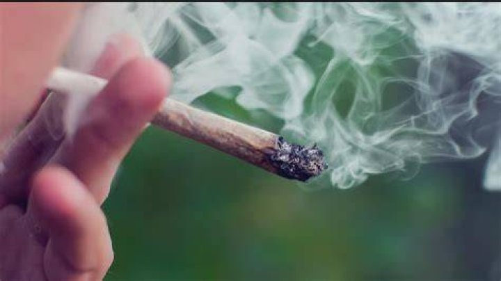 Discover Saratoga's Cannabis Gem: Up In Smoke Unveiled