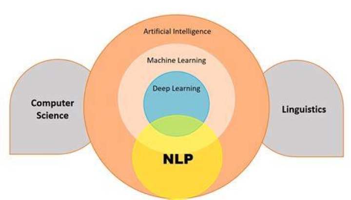 Discoveries And Insights In AI And NLP