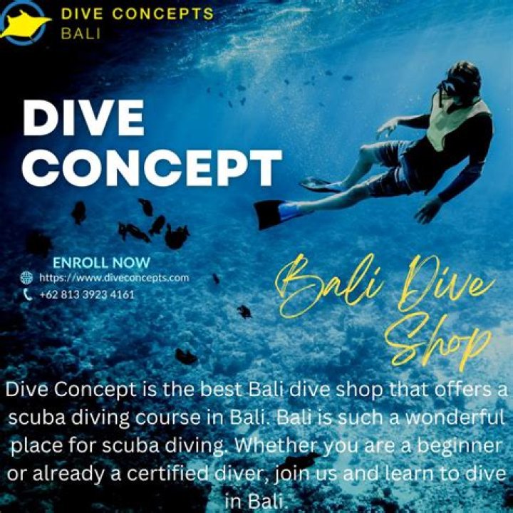 Dive Into Our Sports News Hub