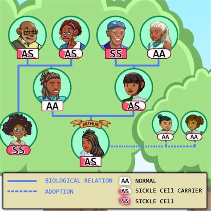 Exploring His Biological and Adoptive Family Background ·
