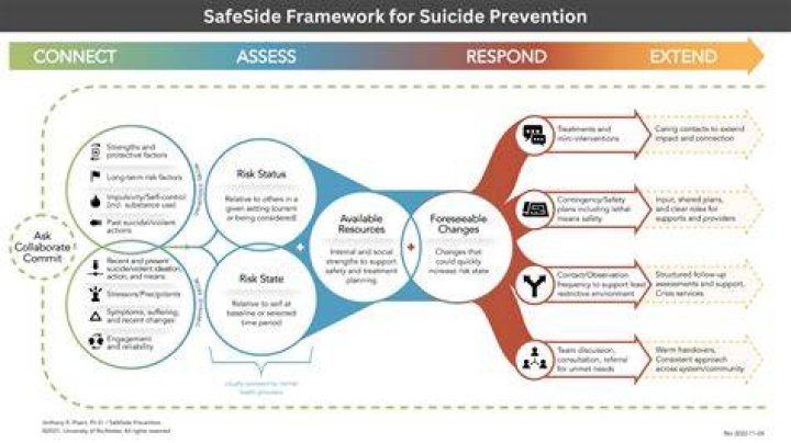 Exploring Julie Skyhigh's Death And Suicide Prevention