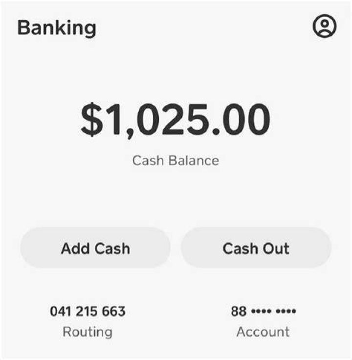 Fake Bank Account Balance Screenshot