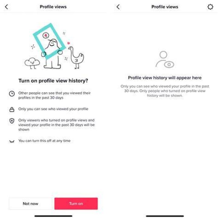 How To See Who Viewed Your Profile On TikTok