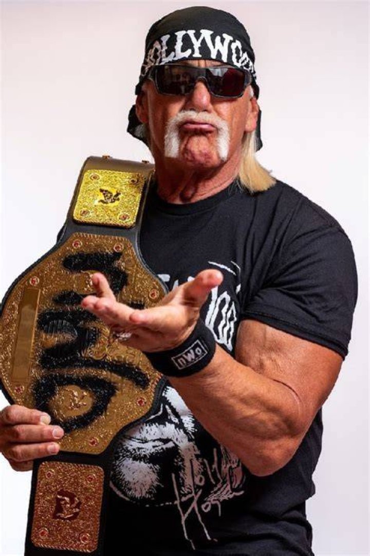 Hulk Hogan Brother Alan Bollea And Kenneth Wheeler |