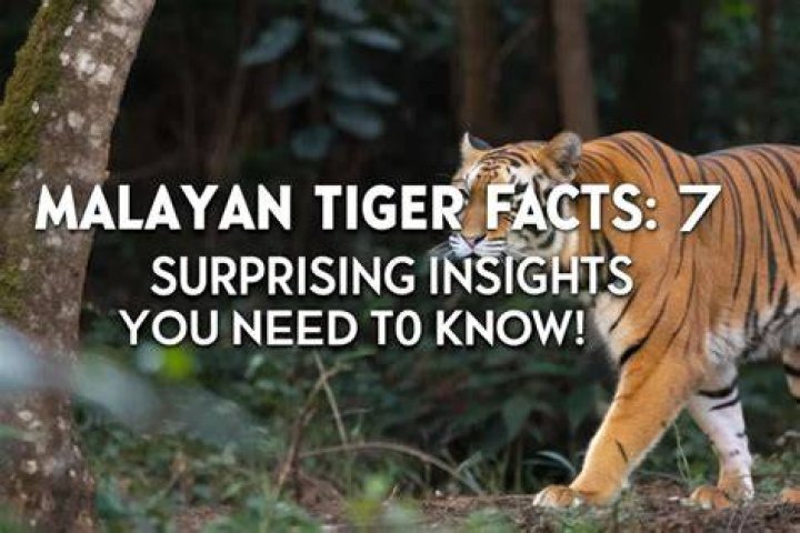 Insights And Surprising Facts Revealed