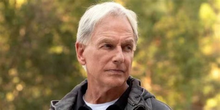Is Mark Harmon Leaving NCIS? Everything You Need To Know