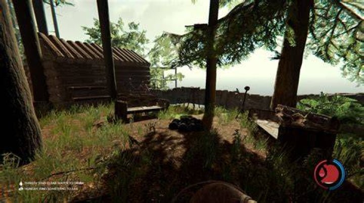 Is The Forest ever coming to Xbox?