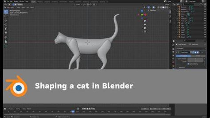 Man Puts Cat In Blender Video