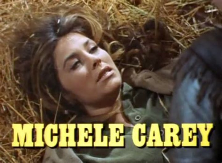 Michele Carey Net Worth, Husband, Personal Life, Career & Biography