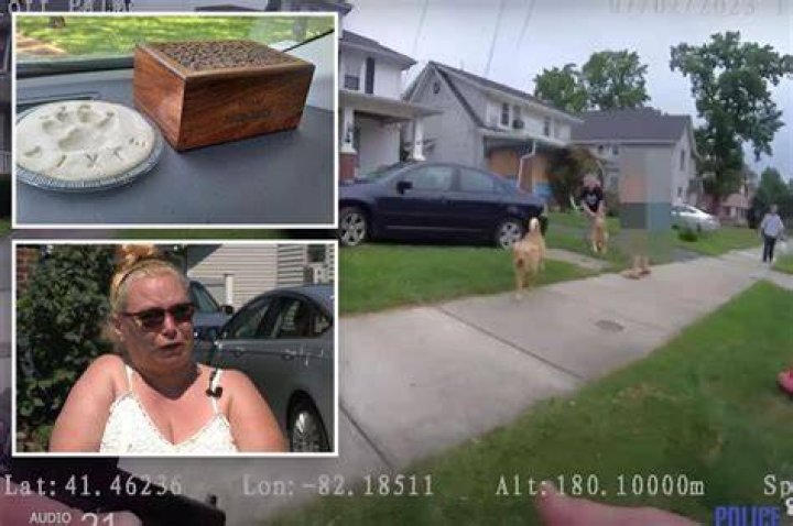 Ohio cop Elliott Palmer shot golden retriever dead in front of family: video