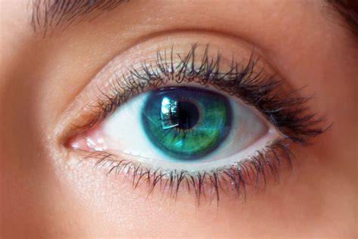 PulseDash | Green eyes blue lyrics