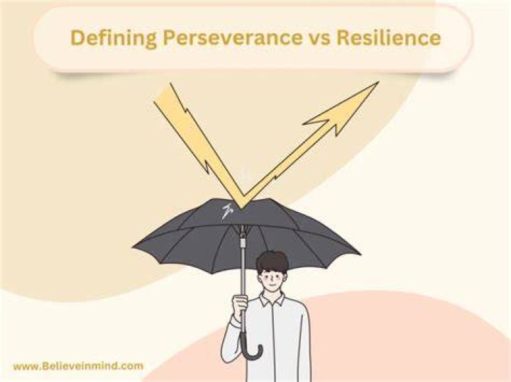 The Epitome Of Perseverance And Resilience