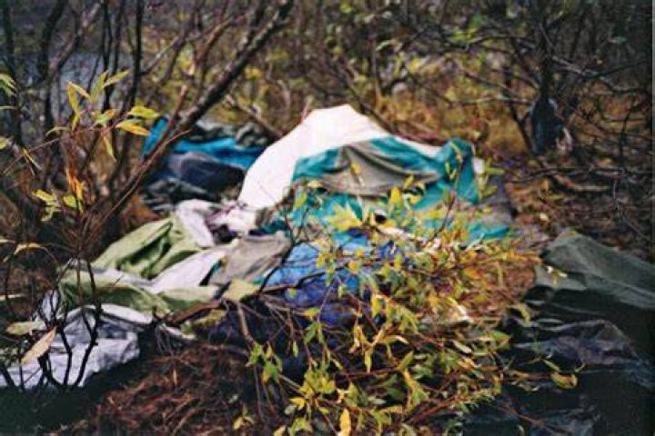 Timothy Treadwell Autopsy Photos