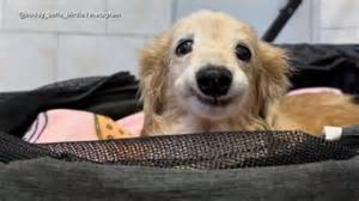 Uncovering Her Age And Journey