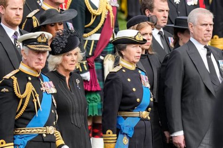Unveiling Andrew Stevens' Spouse: Discoveries And Insights