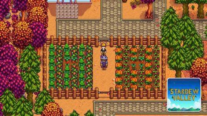 Unveiling The Art Of Crafting An Irresistible Stardew Valley Farm Name