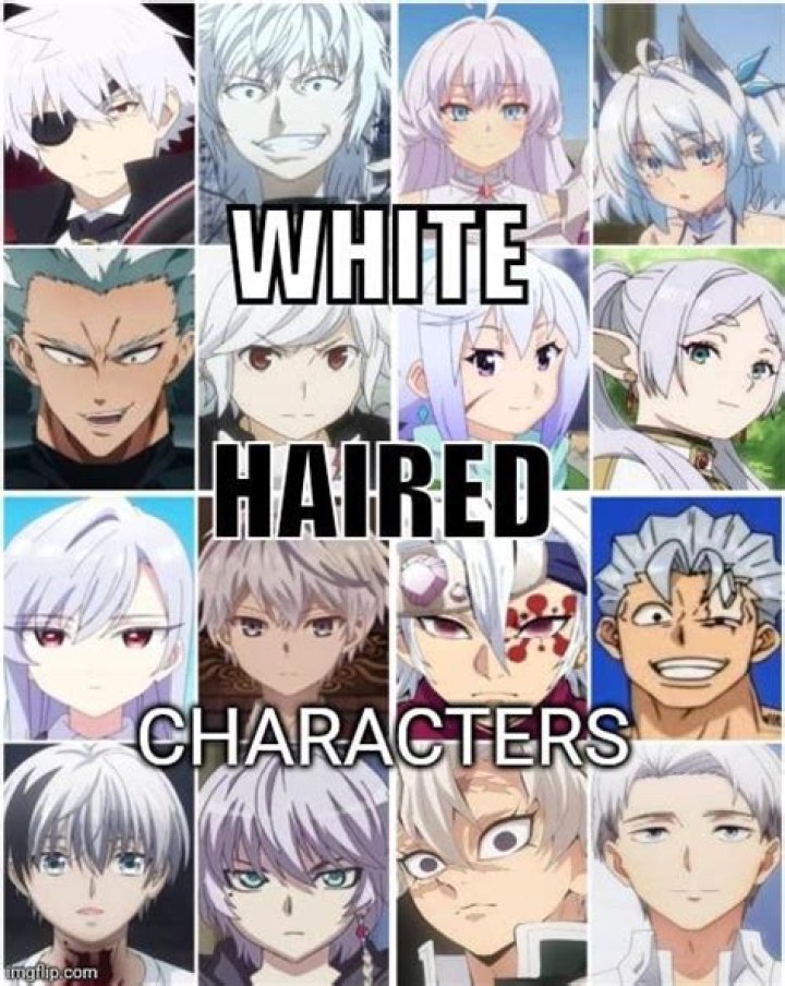 Unveiling The Enchanting World Of White-Haired Anime Characters: A Journey Of Discovery