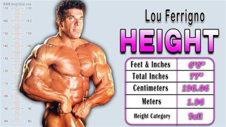 Unveiling The Enigmatic Height Of Lou Ferrigno: A Comprehensive Guide