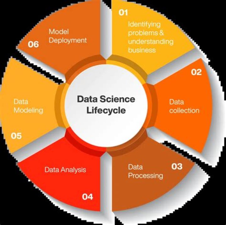 Unveiling The Secrets Of Data Science: Discoveries From Taylor Silverman