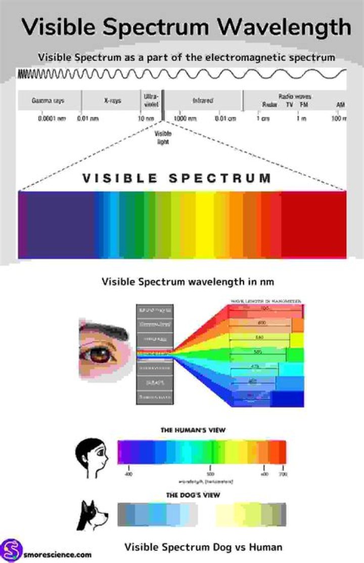 Unveiling The Spectrum Of 