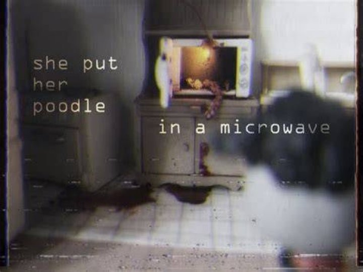 Woman Puts Poodle Into Microwave, Resulting In Devastating Consequences
